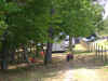 DSC00589.JPG (130872 bytes)